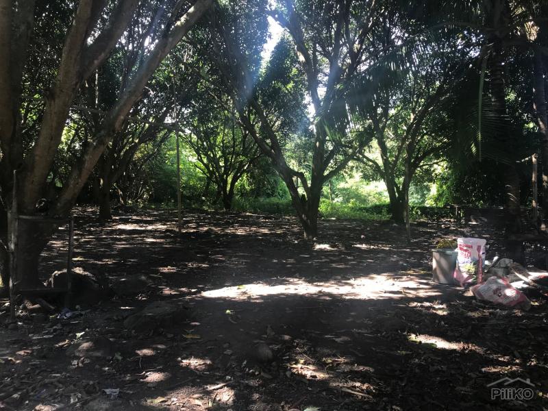 Picture of Residential Lot for sale in Dauin in Philippines