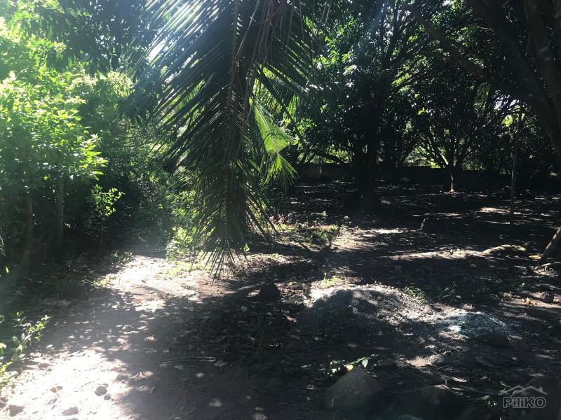 Residential Lot for sale in Dauin in Negros Oriental - image