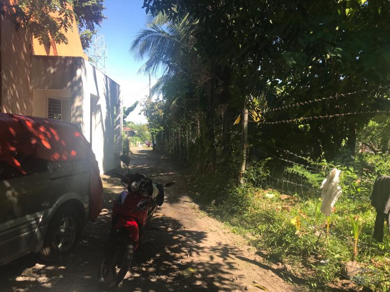 Residential Lot for sale in Dauin in Philippines - image