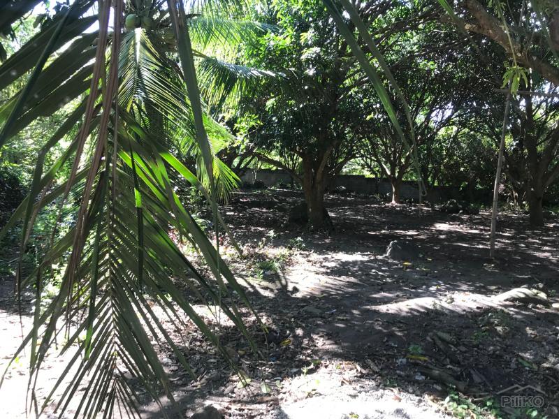 Residential Lot for sale in Dauin - image 9