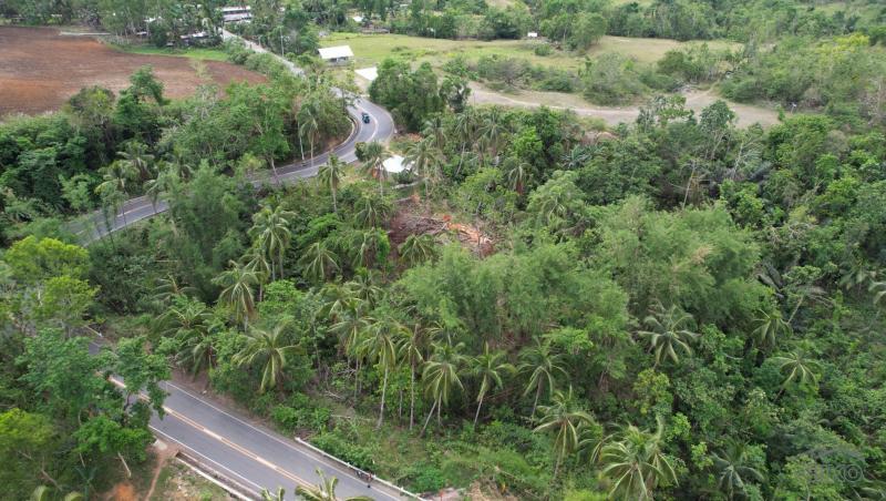 Land and Farm for sale in Bayawan