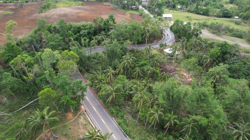 Land and Farm for sale in Bayawan in Negros Oriental