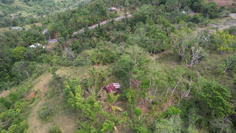 Land and Farm for sale in Bayawan - image 4