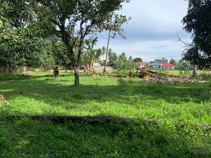 Residential Lot for sale in Dumaguete - image 10