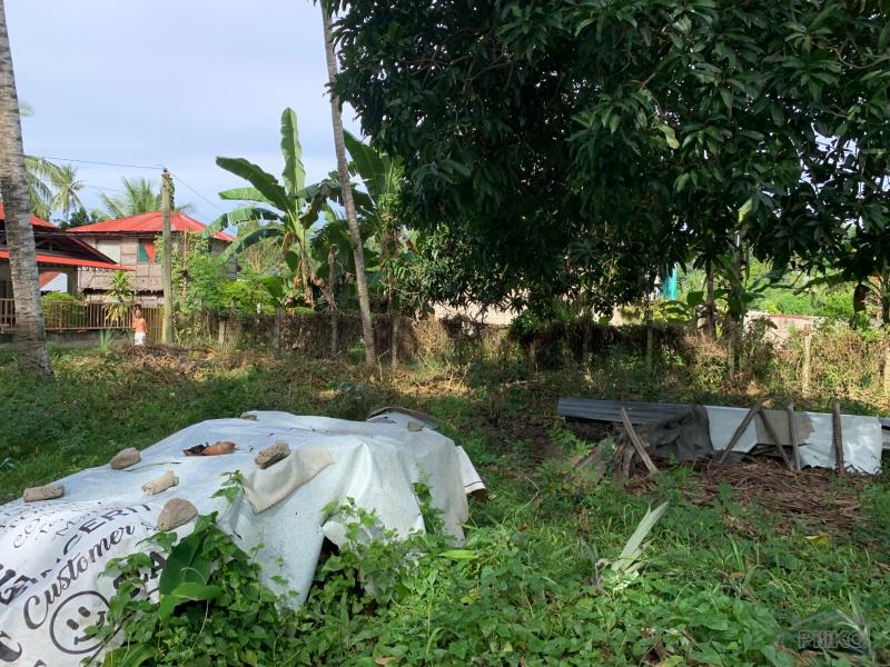 Residential Lot for sale in Dumaguete - image 11