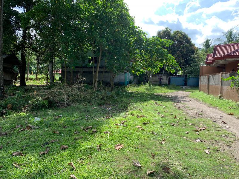 Residential Lot for sale in Dumaguete - image 13
