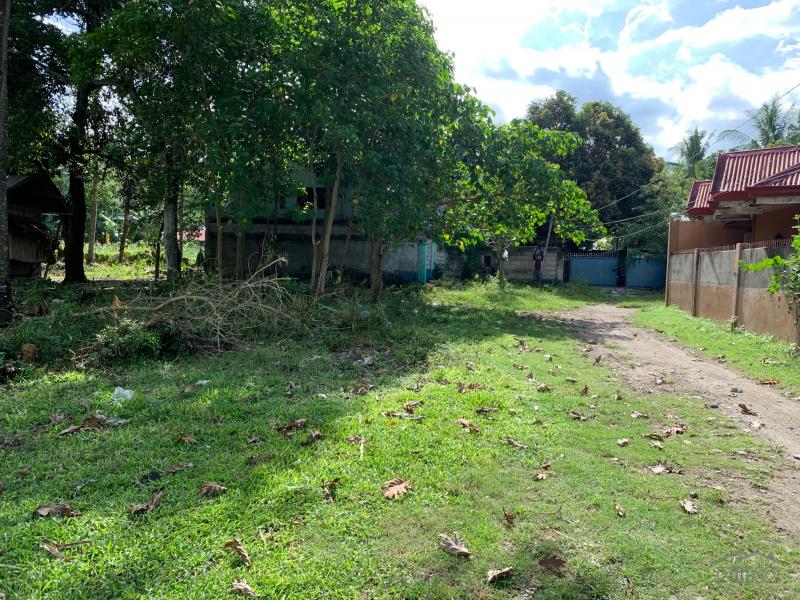 Residential Lot for sale in Dumaguete - image 14