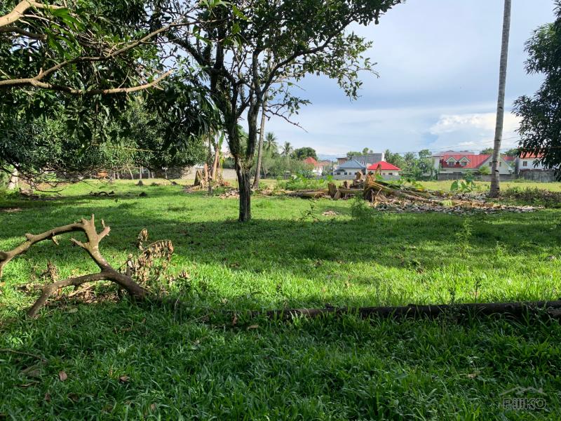 Residential Lot for sale in Dumaguete - image 17