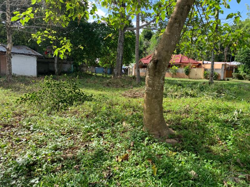 Residential Lot for sale in Dumaguete in Negros Oriental