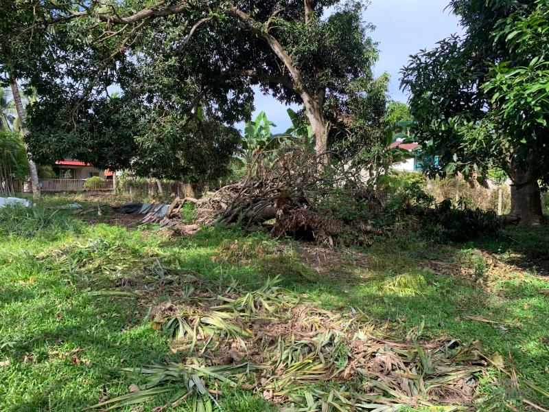 Residential Lot for sale in Dumaguete in Philippines