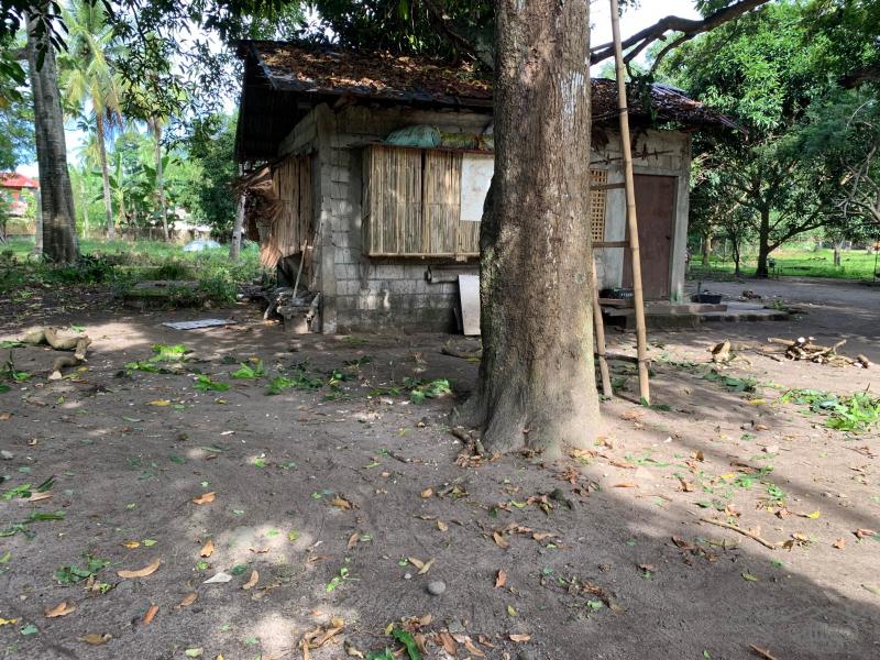 Residential Lot for sale in Dumaguete - image 5