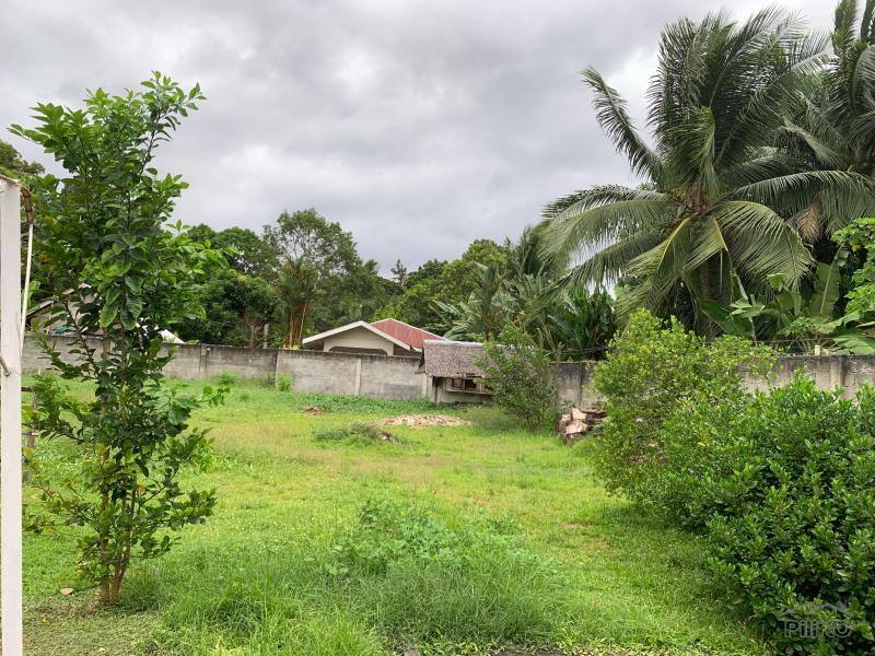 2 bedroom House and Lot for sale in Amlan - image 21