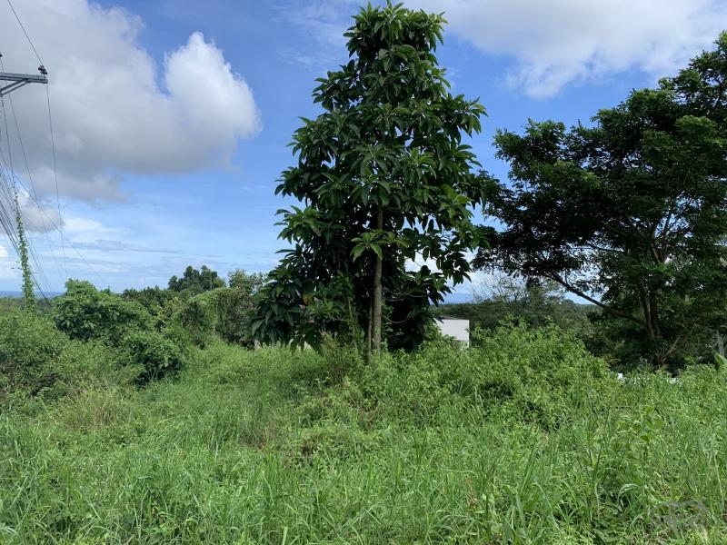 Residential Lot for sale in Valencia in Philippines
