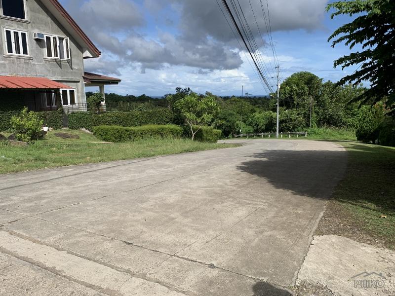Residential Lot for sale in Valencia in Negros Oriental - image