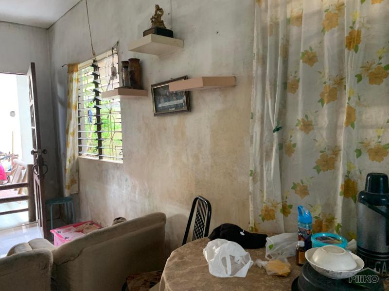 2 bedroom House and Lot for sale in Dumaguete - image 4