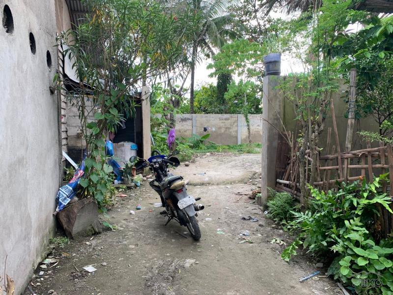2 bedroom House and Lot for sale in Dumaguete - image 7