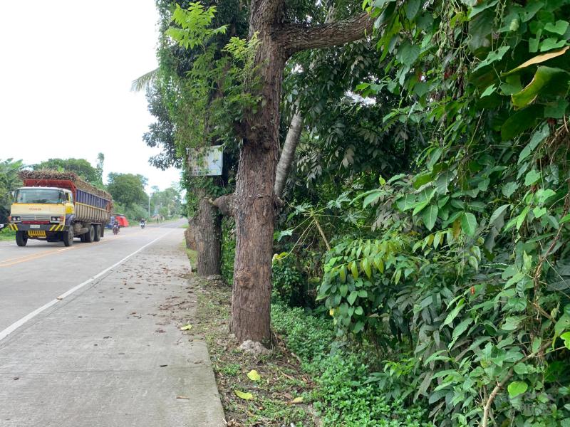Commercial Lot for sale in Dumaguete - image 12