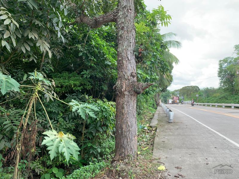 Commercial Lot for sale in Dumaguete - image 13