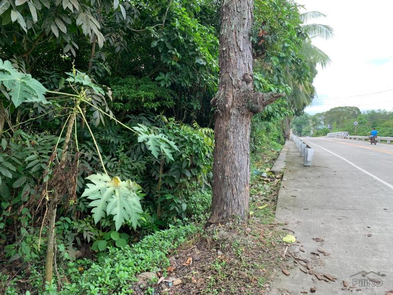 Commercial Lot for sale in Dumaguete in Philippines