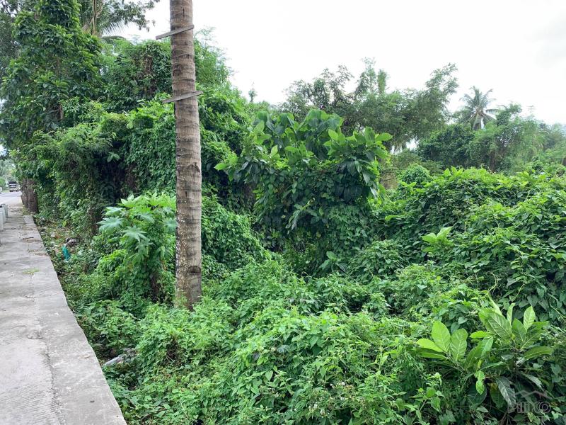 Picture of Commercial Lot for sale in Dumaguete in Negros Oriental