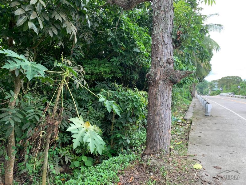 Commercial Lot for sale in Dumaguete - image 8