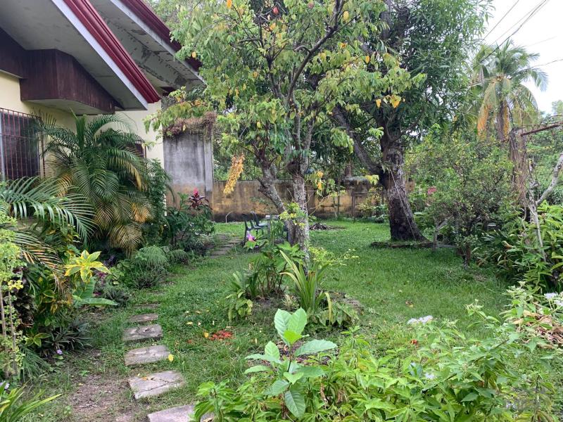 3 bedroom House and Lot for sale in Dumaguete - image 16