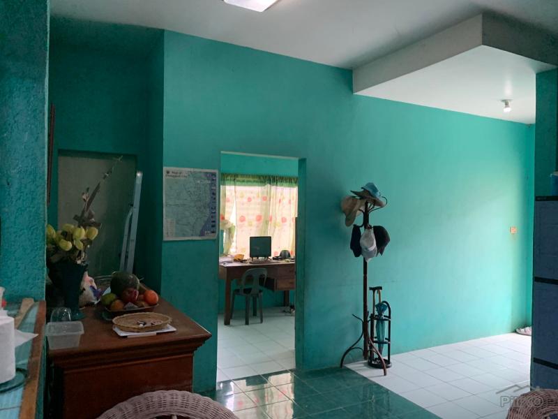 3 bedroom House and Lot for sale in Dumaguete - image 18