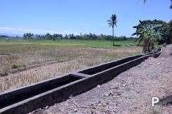 Land and Farm for sale in Amlan - image 10