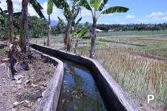 Land and Farm for sale in Amlan - image 11