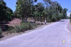 Land and Farm for sale in Amlan - image 13