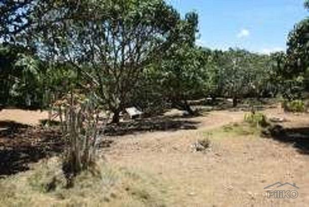 Picture of Land and Farm for sale in Amlan