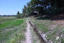 Land and Farm for sale in Amlan - image 20