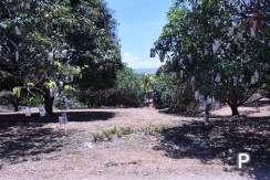 Picture of Land and Farm for sale in Amlan in Negros Oriental