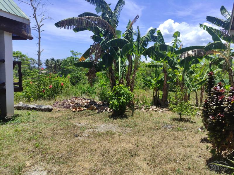Picture of Resort Property for sale in Lazi in Philippines