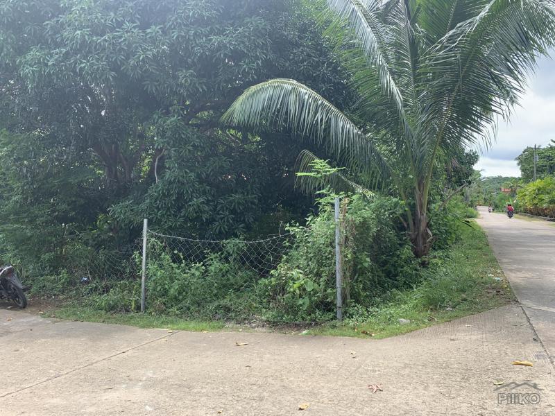 Picture of Residential Lot for sale in Lazi