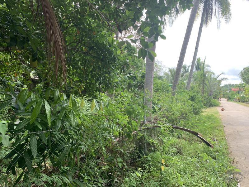 Residential Lot for sale in Lazi - image 2