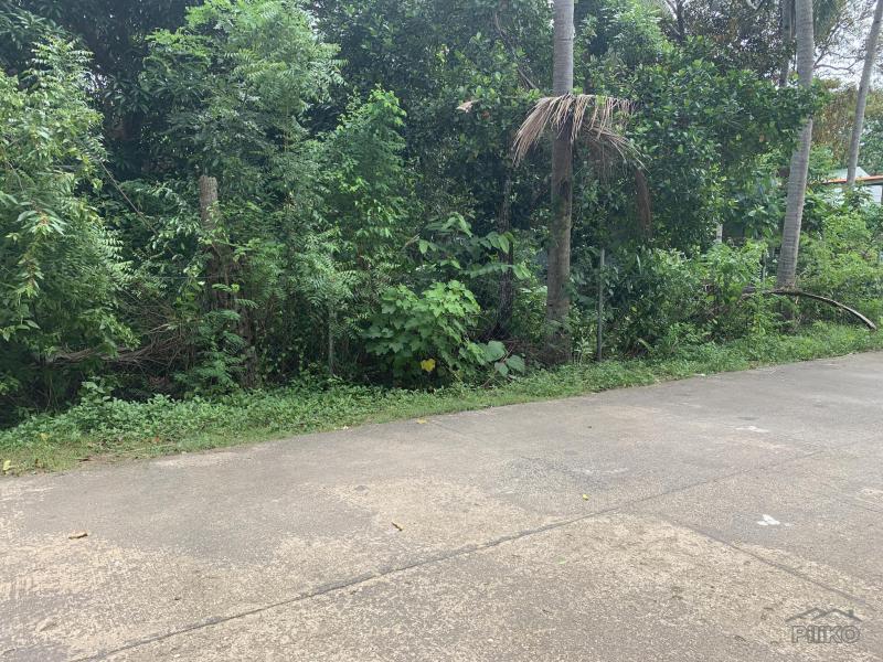 Residential Lot for sale in Lazi in Siquijor