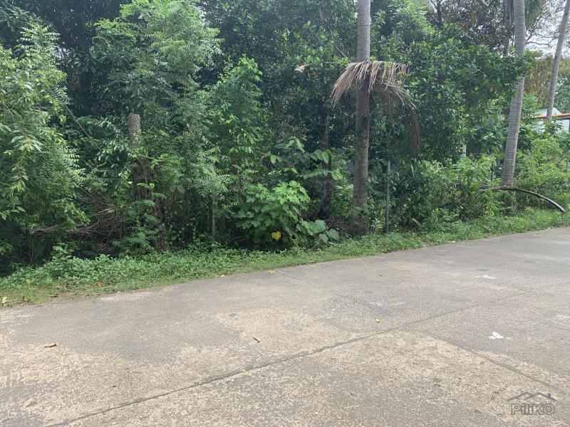 Residential Lot for sale in Lazi - image 3