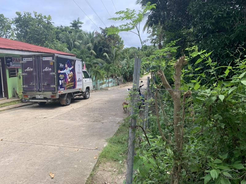 Residential Lot for sale in Lazi - image 5