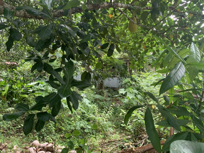 Residential Lot for sale in Lazi - image 6