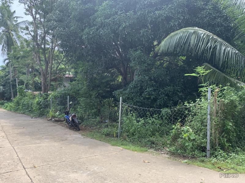 Residential Lot for sale in Lazi in Philippines - image
