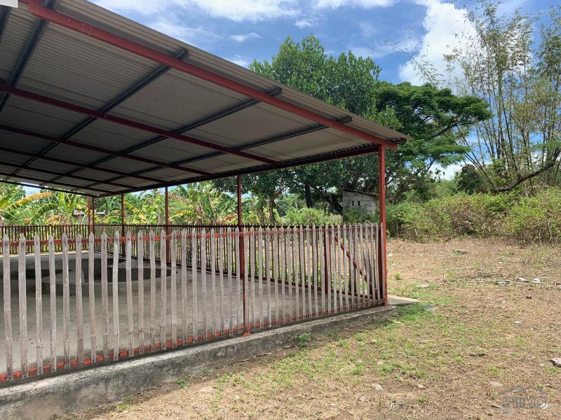 3 bedroom House and Lot for sale in Dumaguete - image 11