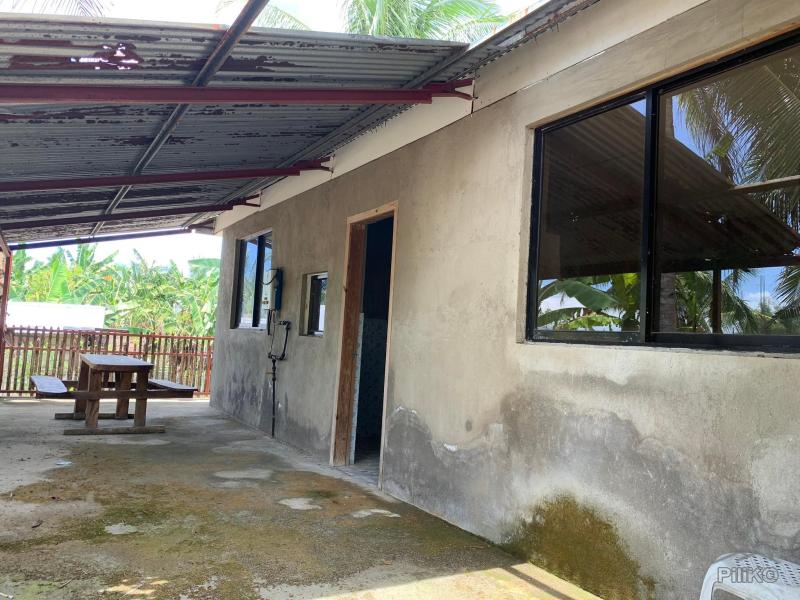 3 bedroom House and Lot for sale in Dumaguete - image 18