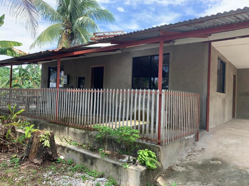 Picture of 3 bedroom House and Lot for sale in Dumaguete