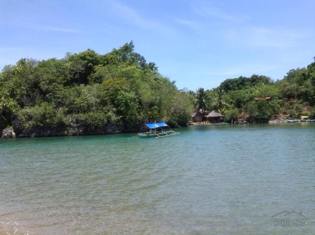Picture of Residential Lot for sale in Sipalay
