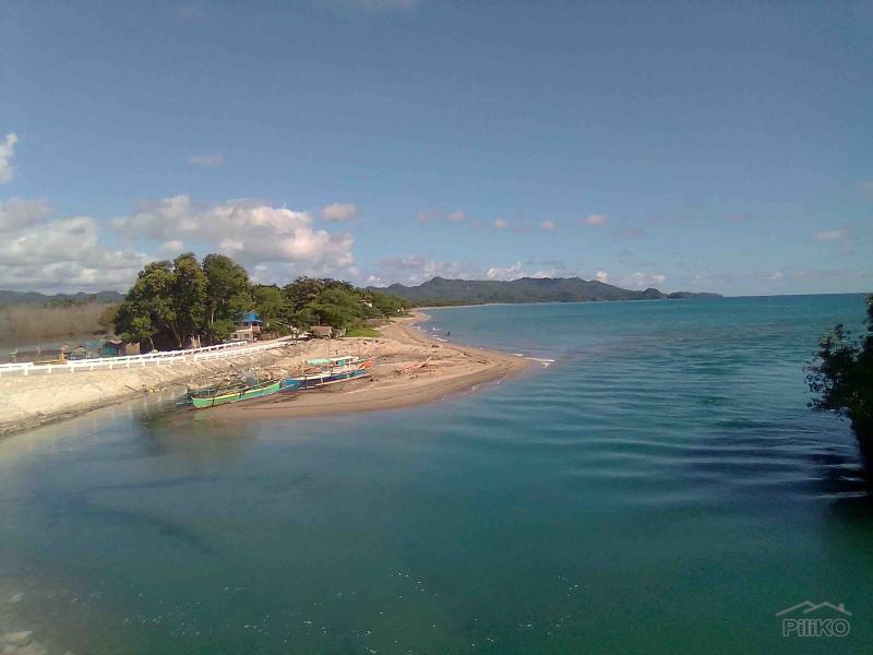 Residential Lot for sale in Sipalay