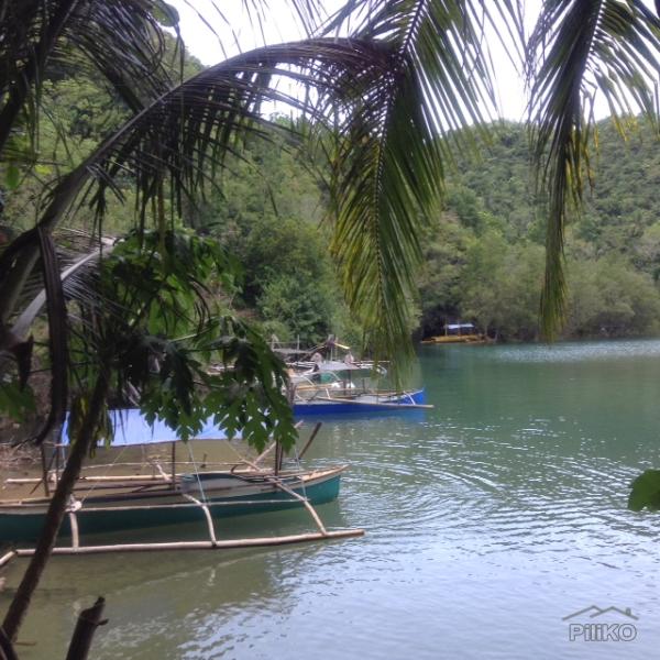 Residential Lot for sale in Sipalay in Philippines
