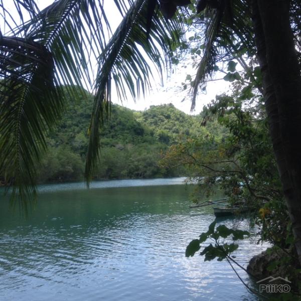 Picture of Residential Lot for sale in Sipalay in Philippines