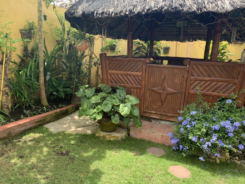 3 bedroom House and Lot for sale in Dumaguete - image 20