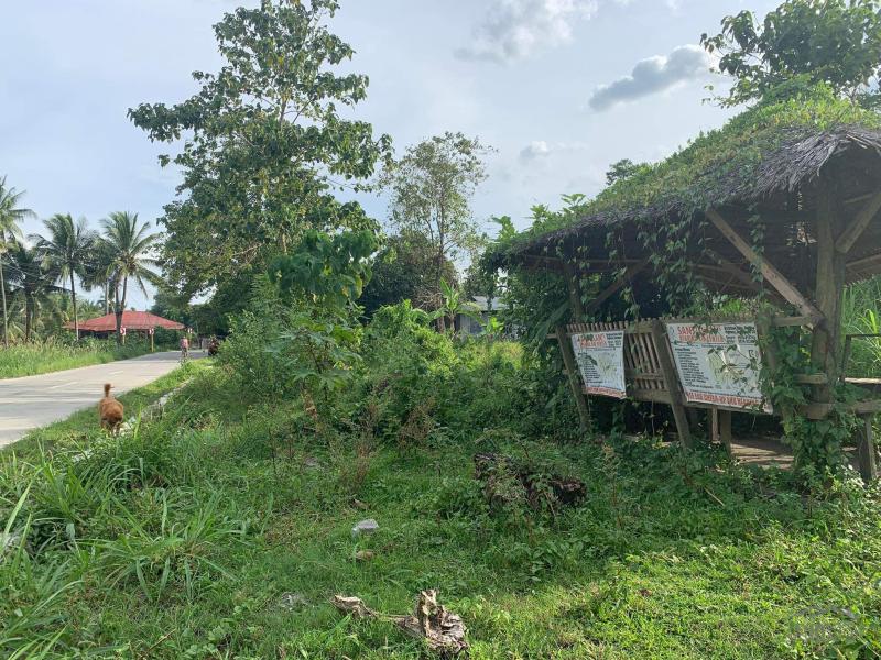 Residential Lot for sale in Dumaguete in Negros Oriental - image